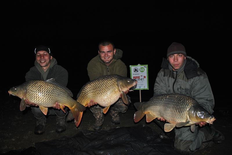 Diverse Partide - sarulesti.bmp